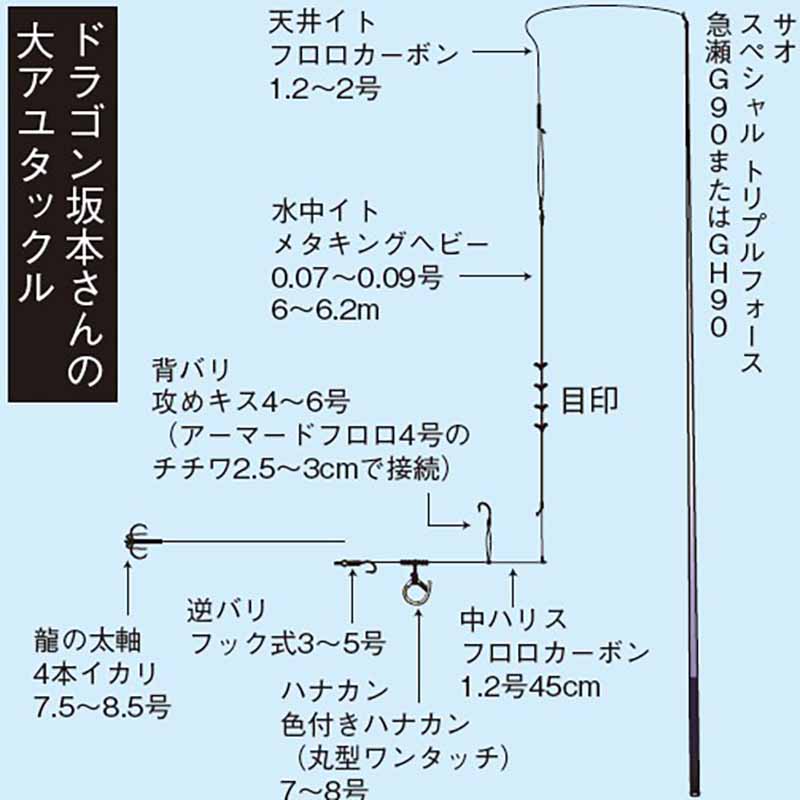 大物ねらい】25cm超の鮎を釣るために必要な５つのコト／後編【Q＆A】 | 釣りの仕掛け集